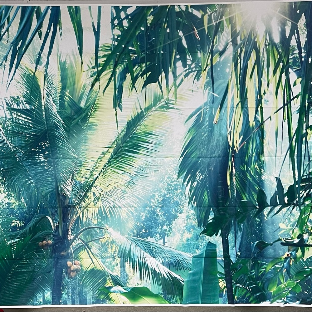 Vivid Moment Photo Backdrop